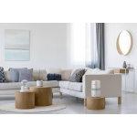 Philips Nawilżacz powietrza Seria 2000 HU2510/10 - obrazek 4