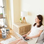 BONECO oczyszczacz powietrza p230 - obrazek 4